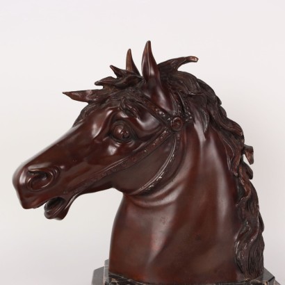 Bronze Horse Head, Bronze Horse Head F.G. Ruocco