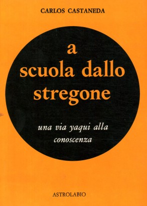 A scuola dallo stregone