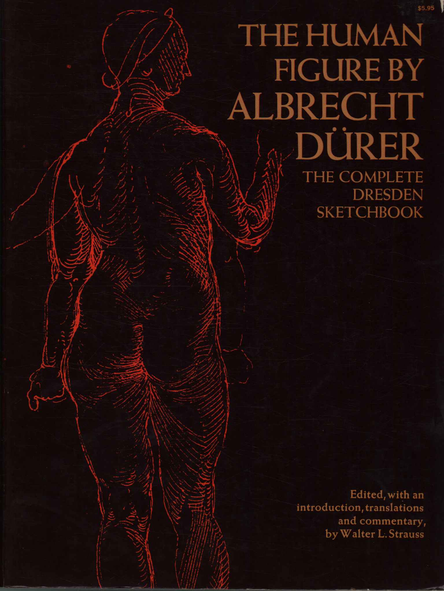 The human figure