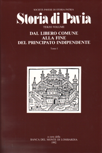 Storia di Pavia (volume 3. Tomo I)