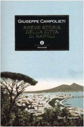 Breve storia della città di Napoli