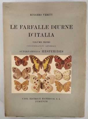 Le farfalle diurne d'Italia