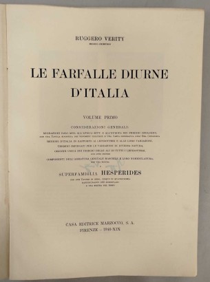 Las mariposas diurnas de Italia