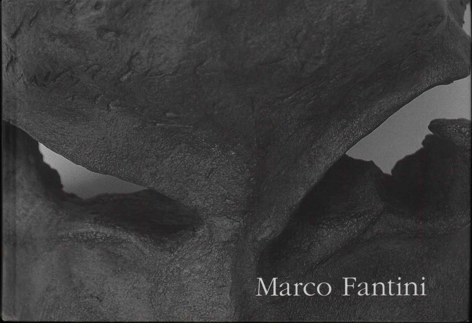 Marco Fantini