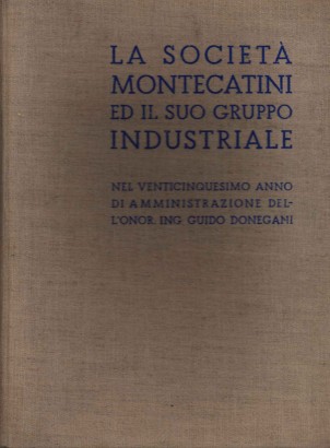 La società Montecatini ed il suo gruppo industriale