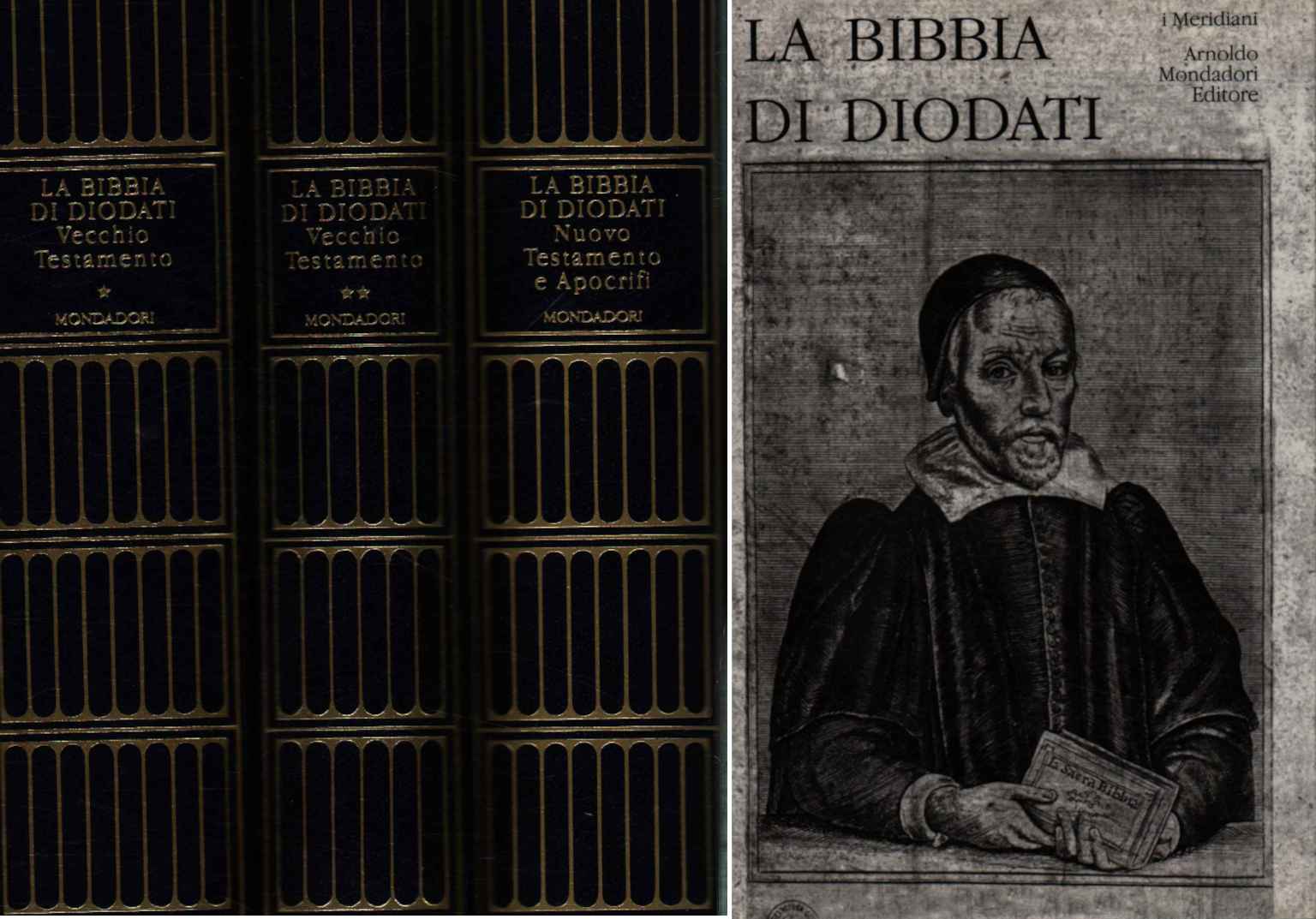 La sacra Bibbia tradotta in lingua ita