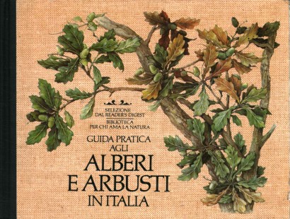 Guida pratica agli alberi e arbusti in Italia