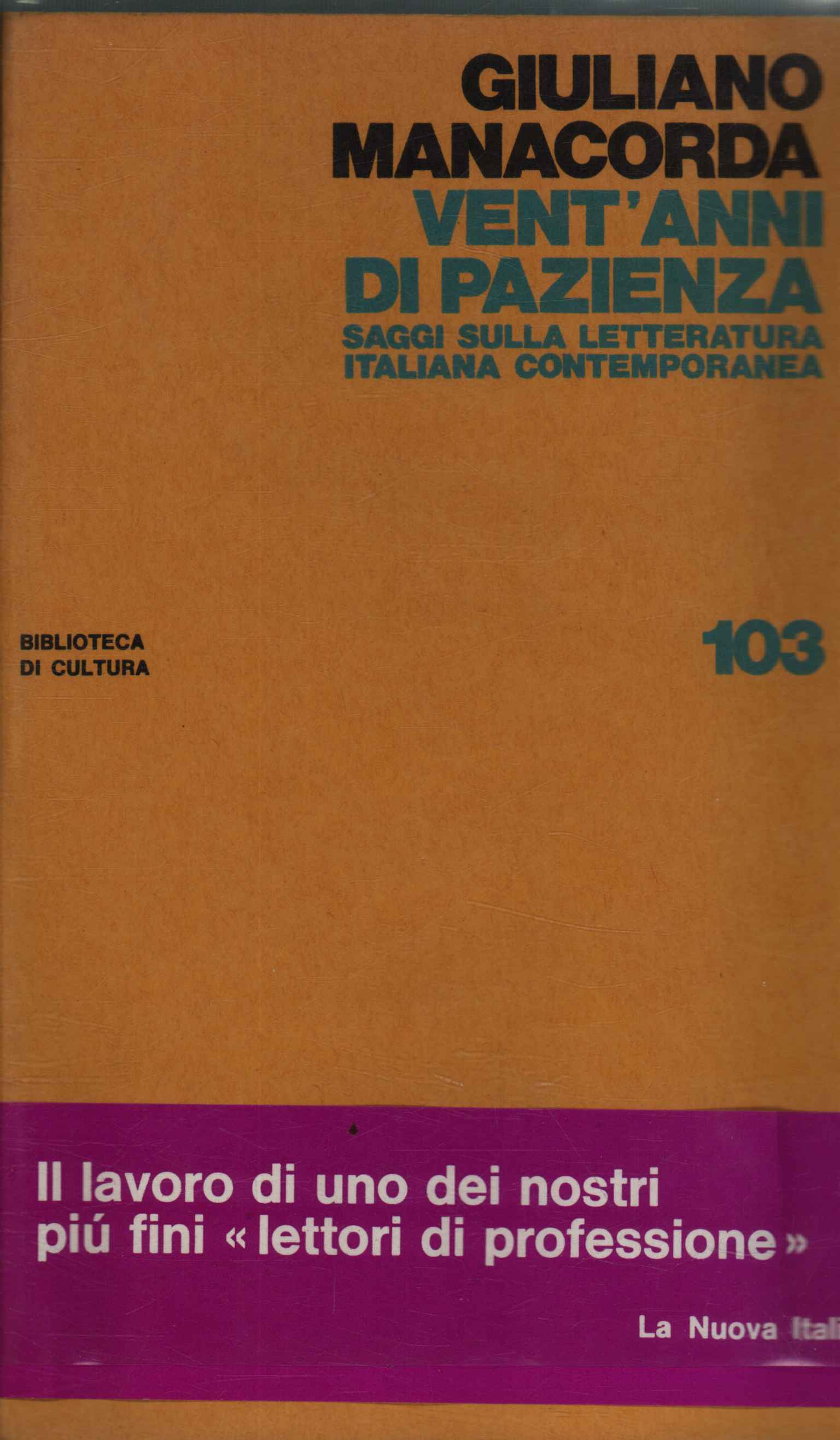 Vent'anni di pazienza
