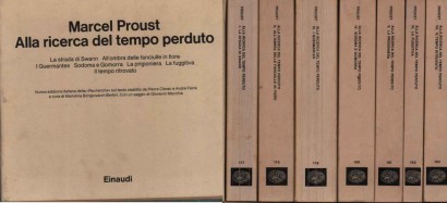 Alla ricerca del tempo perduto (7 Volumi)