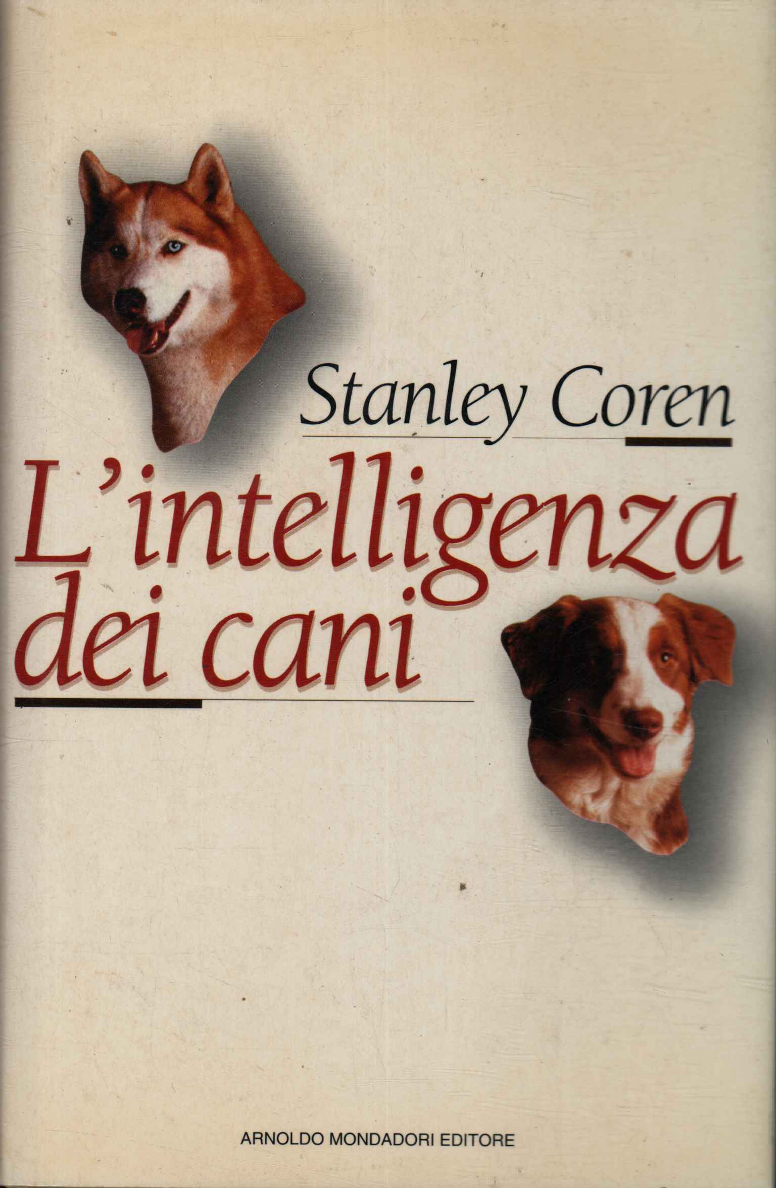 L'intelligenza dei cani