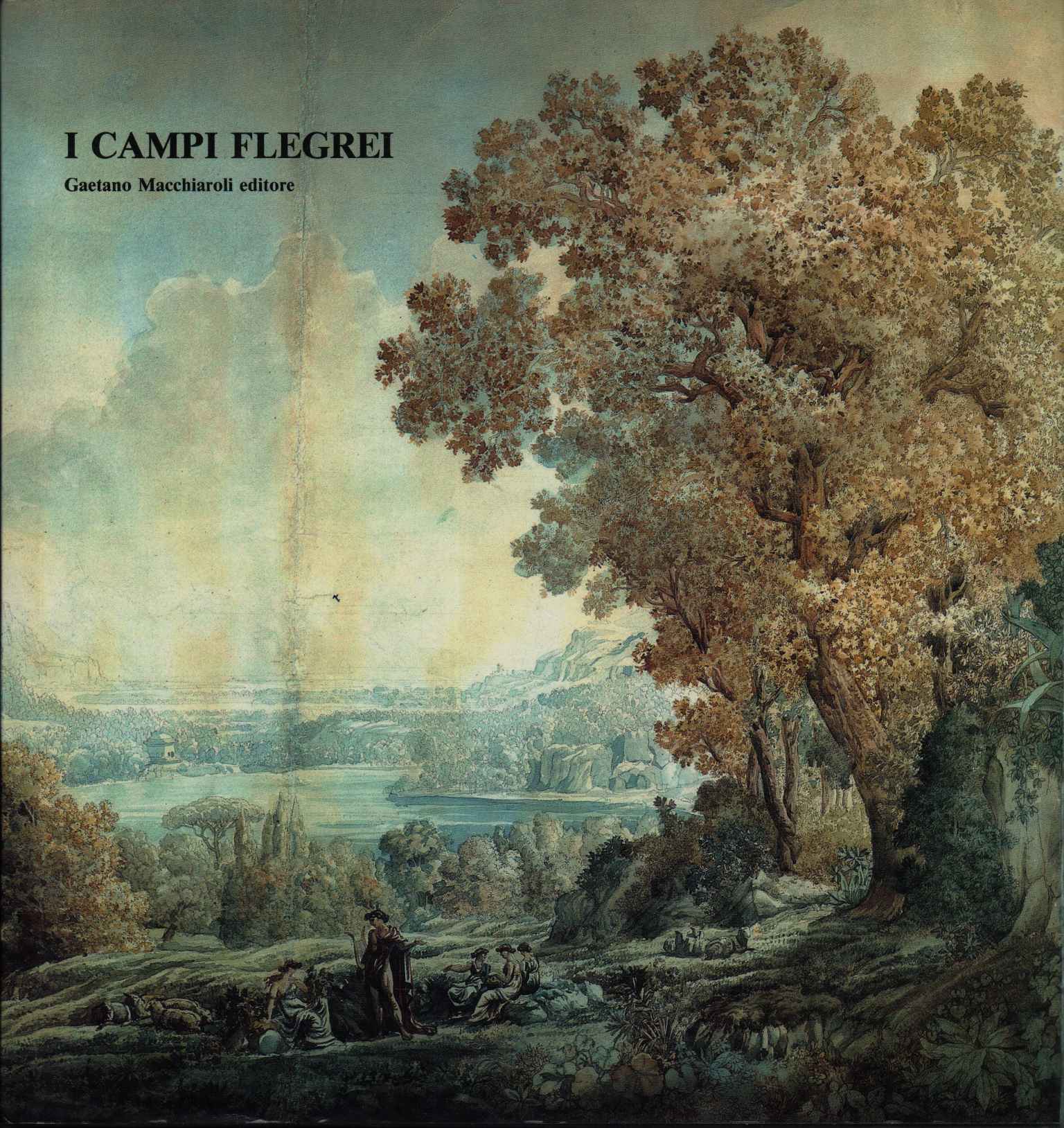 I Campi Flegrei