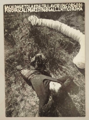 Bachi da setola ed altri lavori in corso Pino Pascali Marzo 1968 Gall. L'Attico Roma