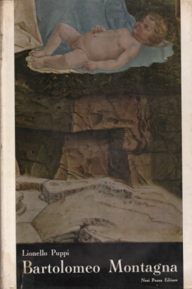 Bartolomeo Montagna