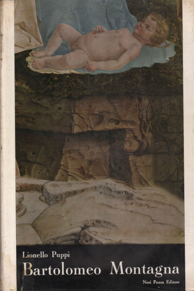 Bartolomeo Montagna