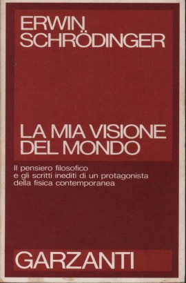La mia visione del mondo