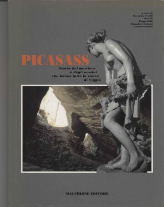 Picasass