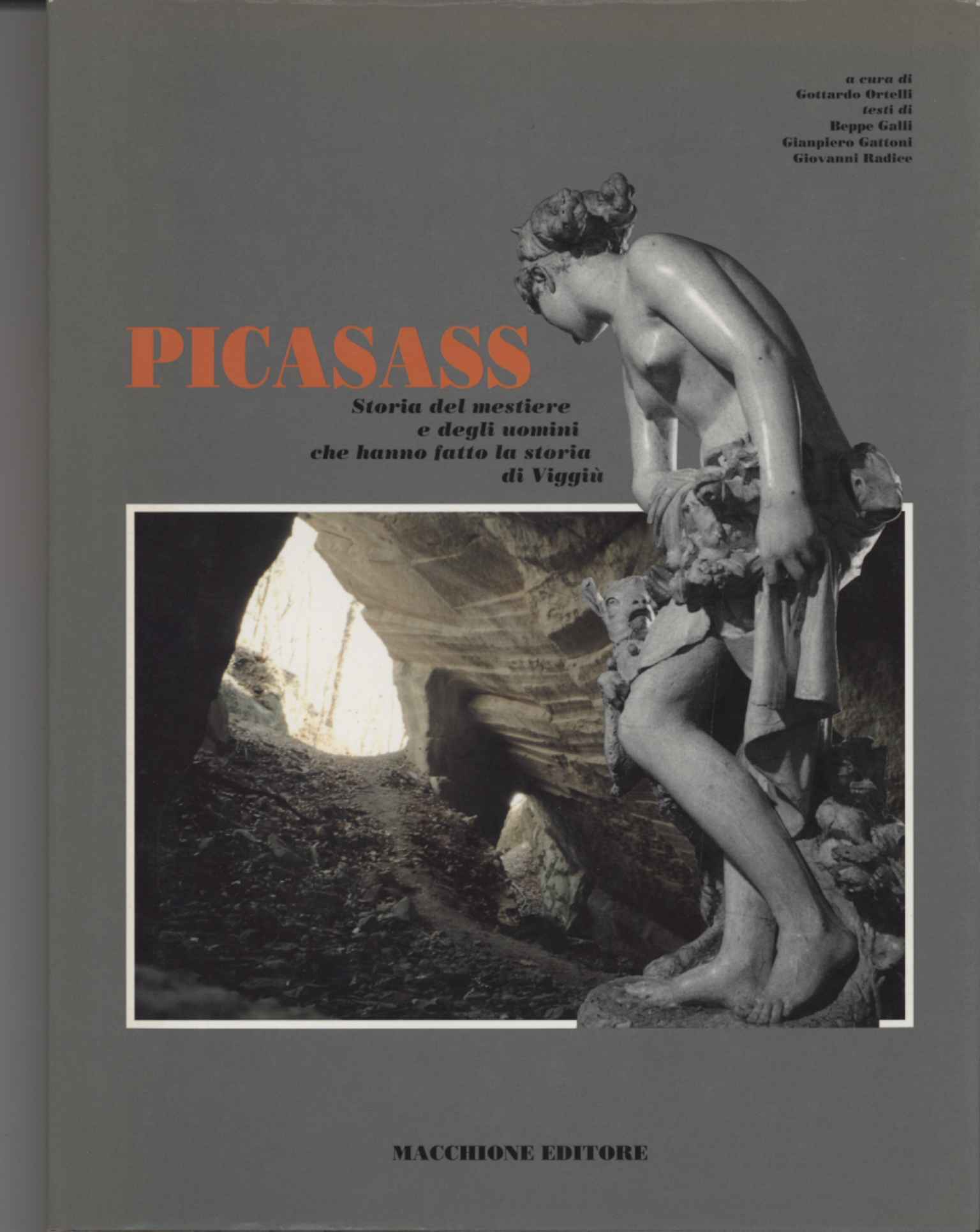 Picasass