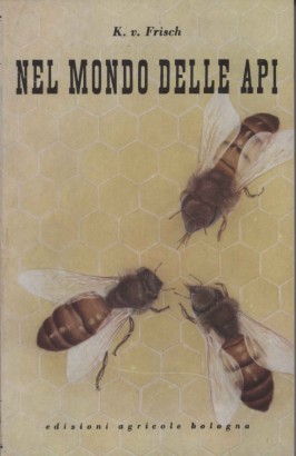 Nel mondo delle api