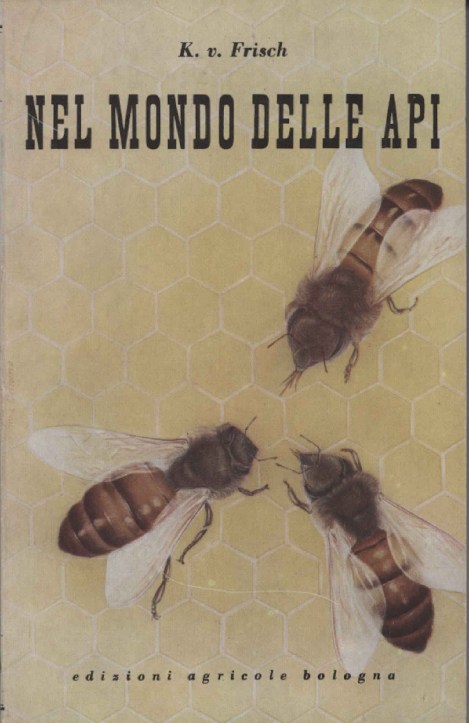 In der Welt der Bienen