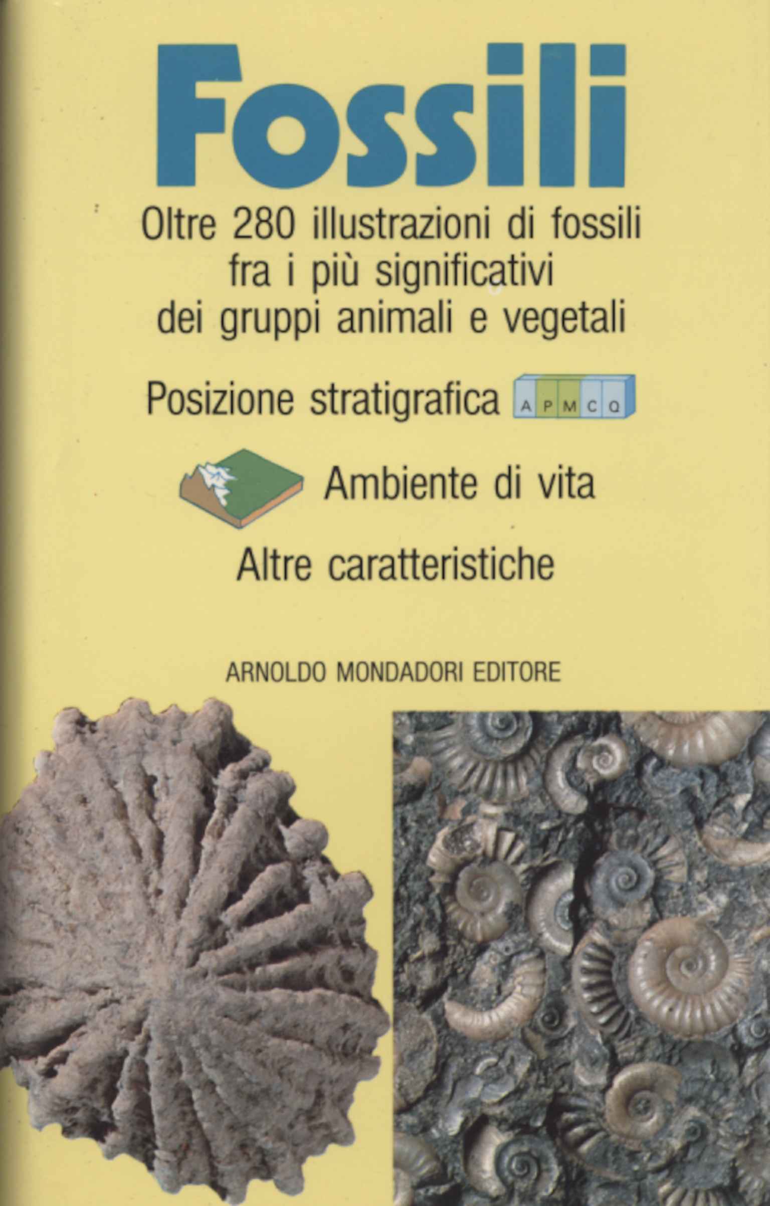 Fossilien