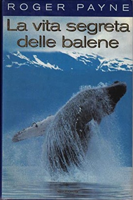 La vita segreta delle balene