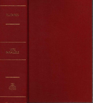 Vite parallele (Volume 2)