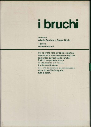 Nel mondo delle farfalle. I bruchi
