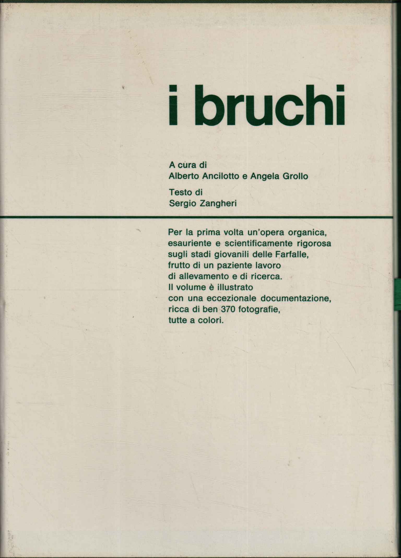 Nel mondo delle farfalle. I bruchi