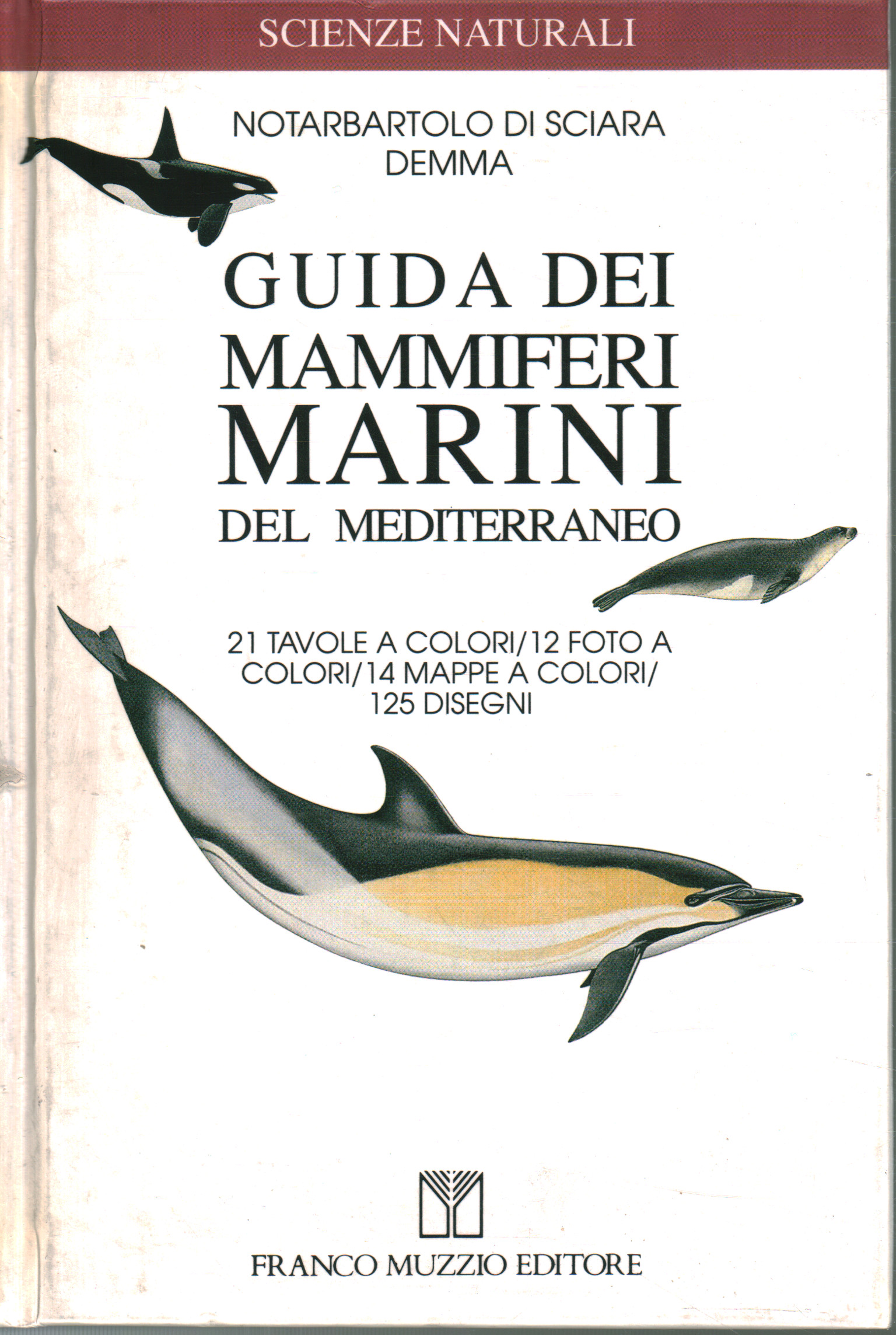 Guida dei Mammiferi Marini del Mediterra