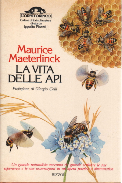La vita delle api
