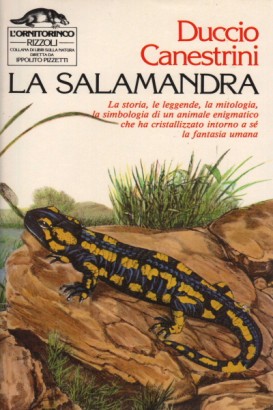 La salamandra