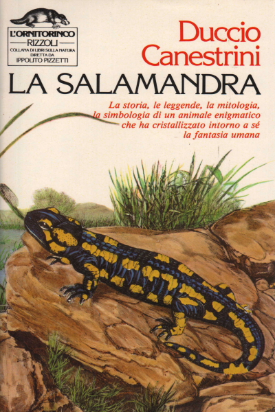 La salamandra