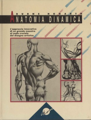 Anatomia dinamica