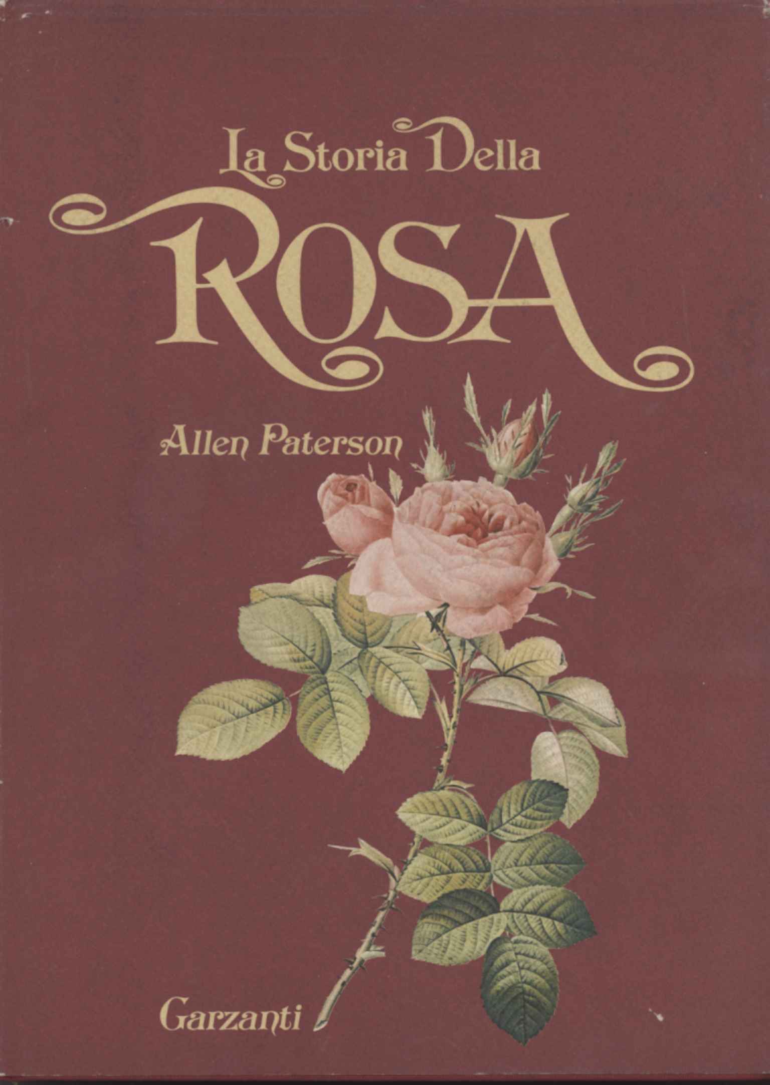 Die Geschichte der Rose