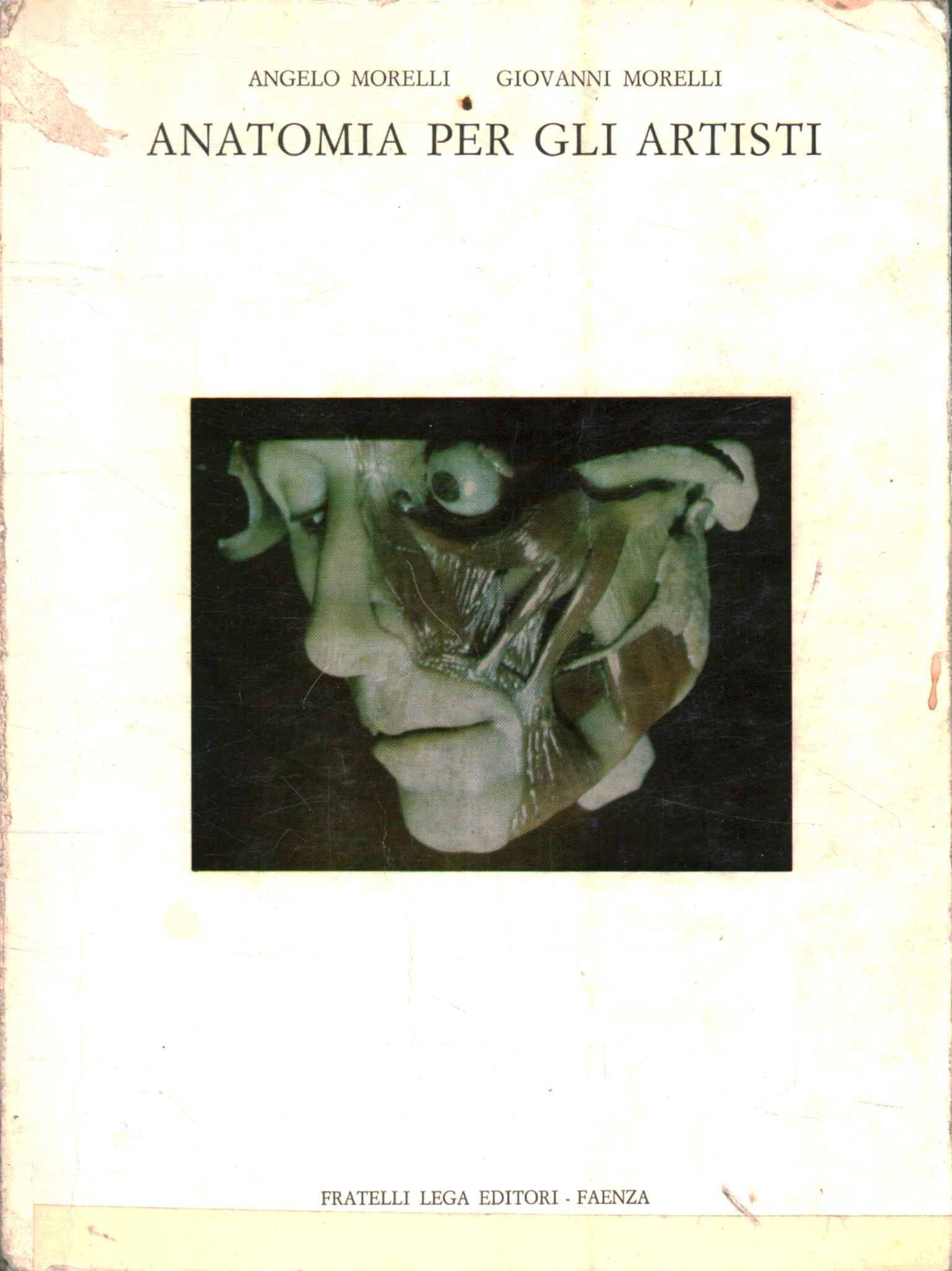 Anatomía para artistas