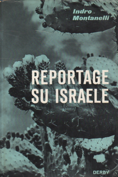 Reportage über Israel