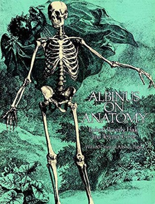 Albinus on anatomy