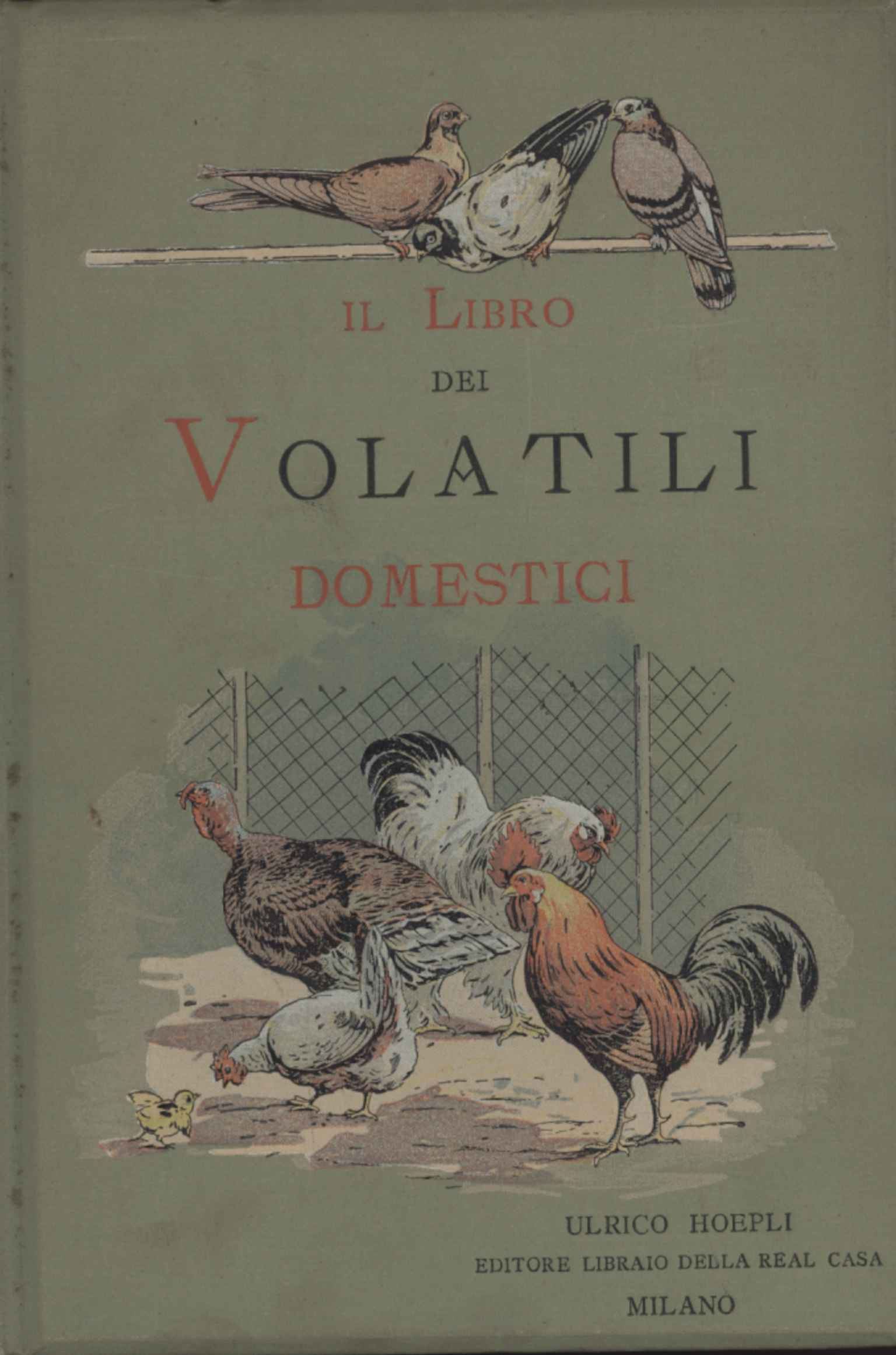 The Book of Domestic Fowl