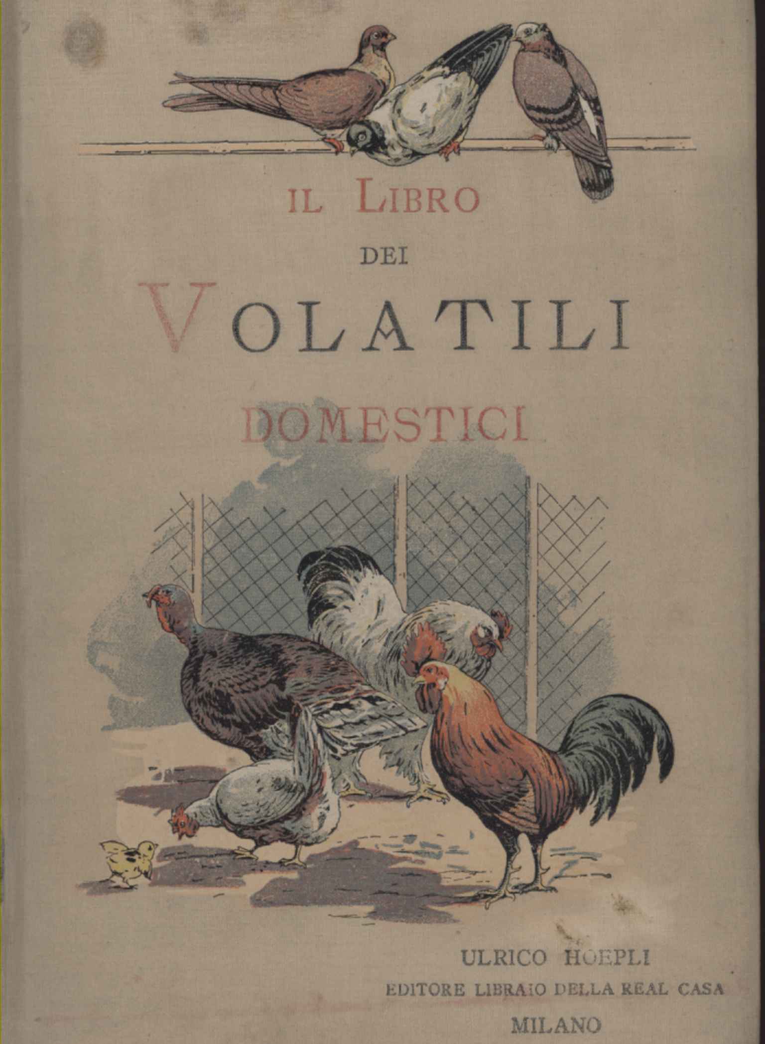 The Book of Domestic Fowl