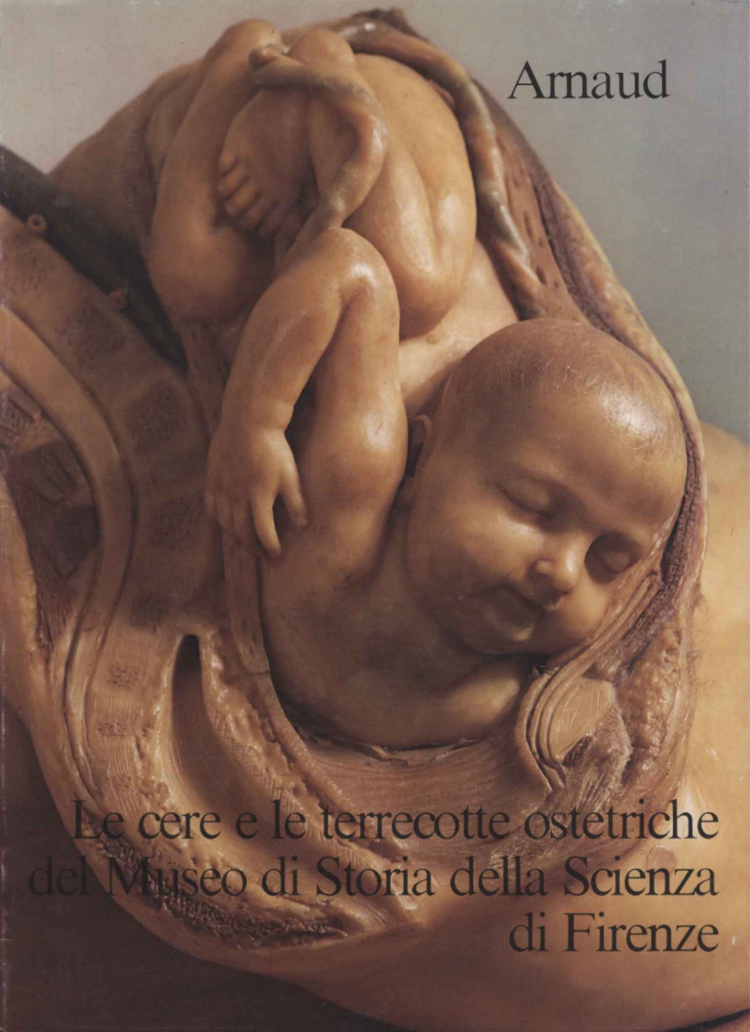 The obstetric waxes and terracottas of the