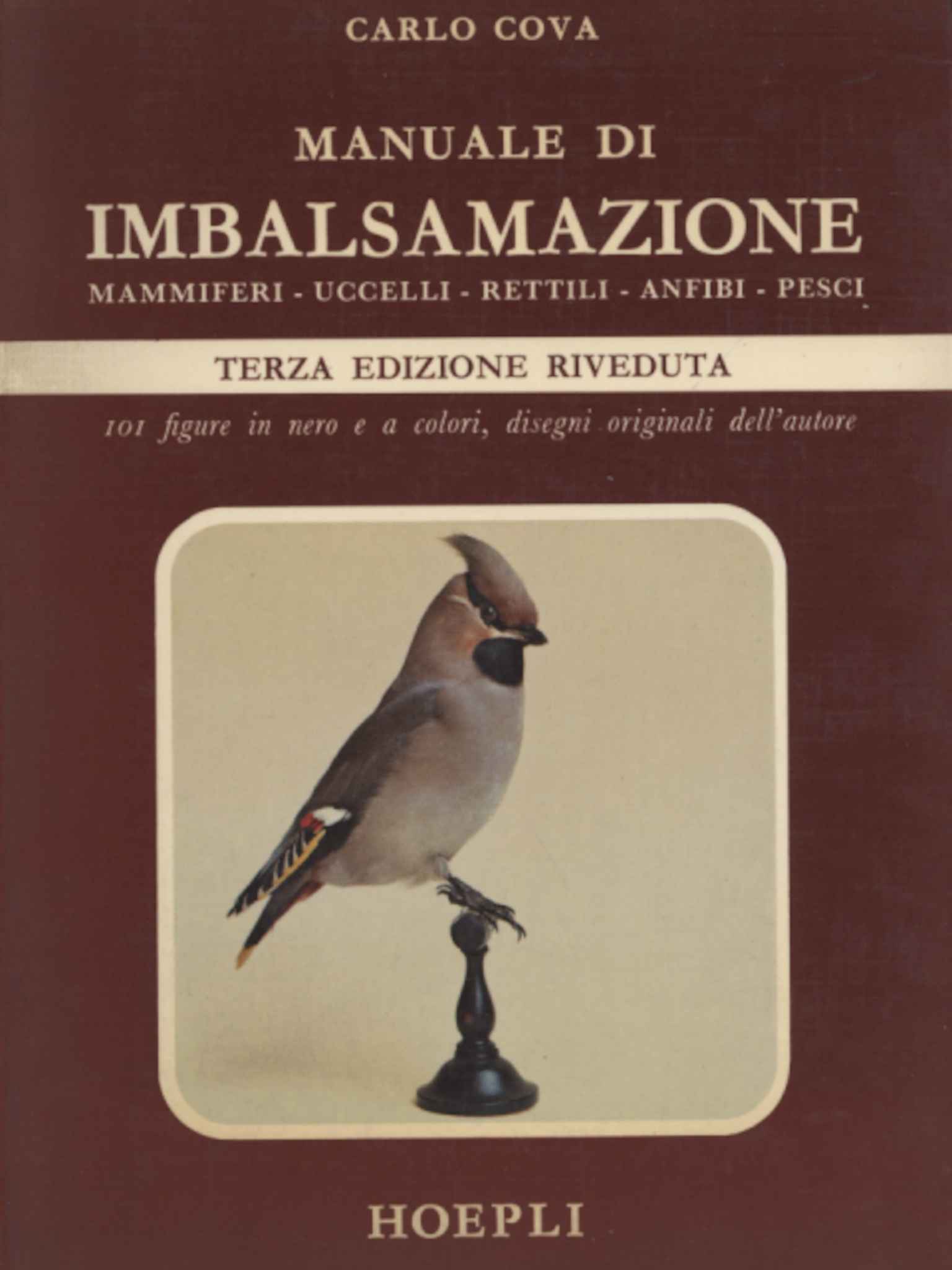 Embalming Manual