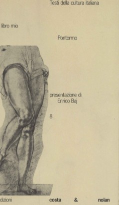 Pontormo. Il libro mio