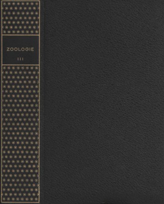 Zoologie III