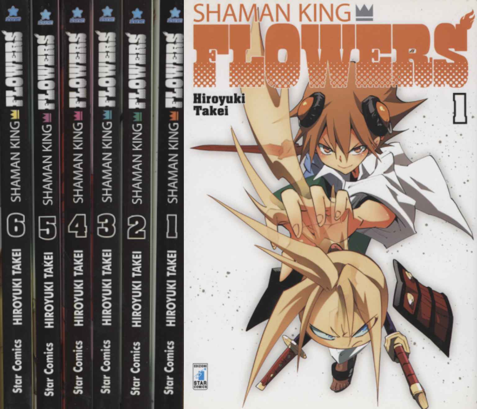 6 volumes - COMPLETE SERIES | used Comics Comics Comics Shaman King Flowers. Complete series (6%2
