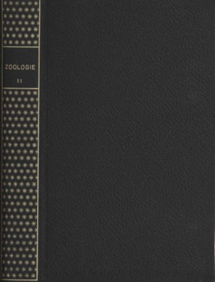 Zoologie II