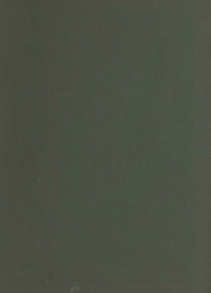 Studi in onore di Matteo Marangoni