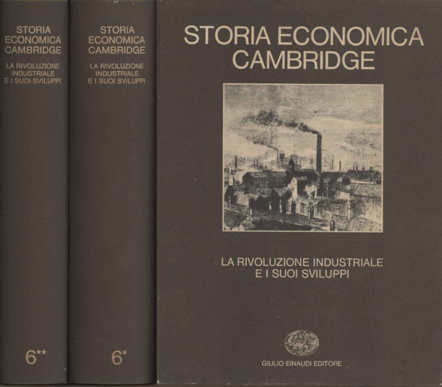 Cambridge Economic History (Band VI)