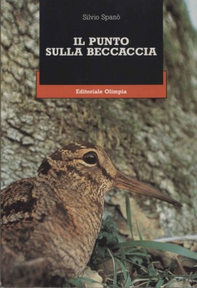 Il punto sulla beccaccia
