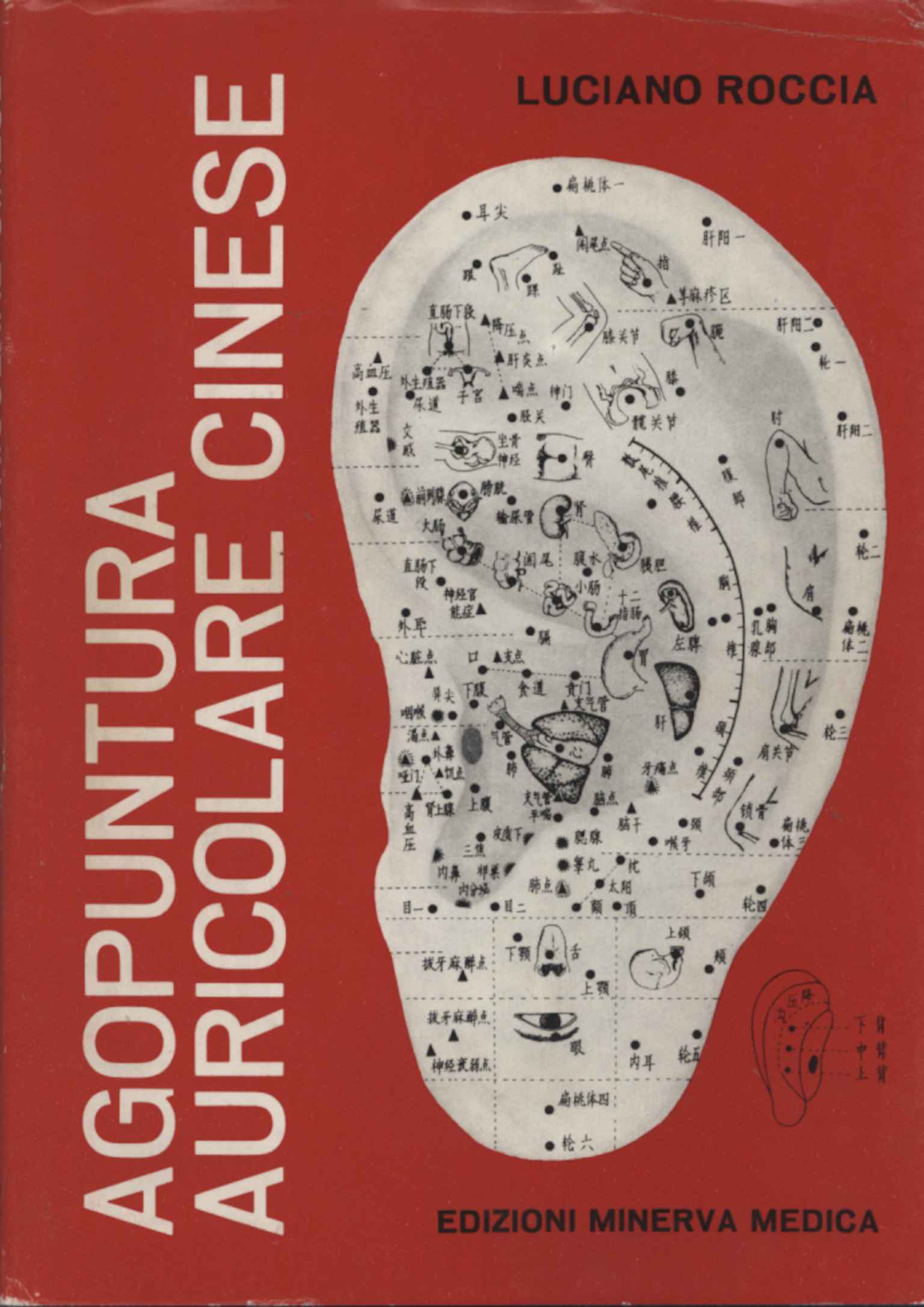 Acupuncture auriculaire chinoise