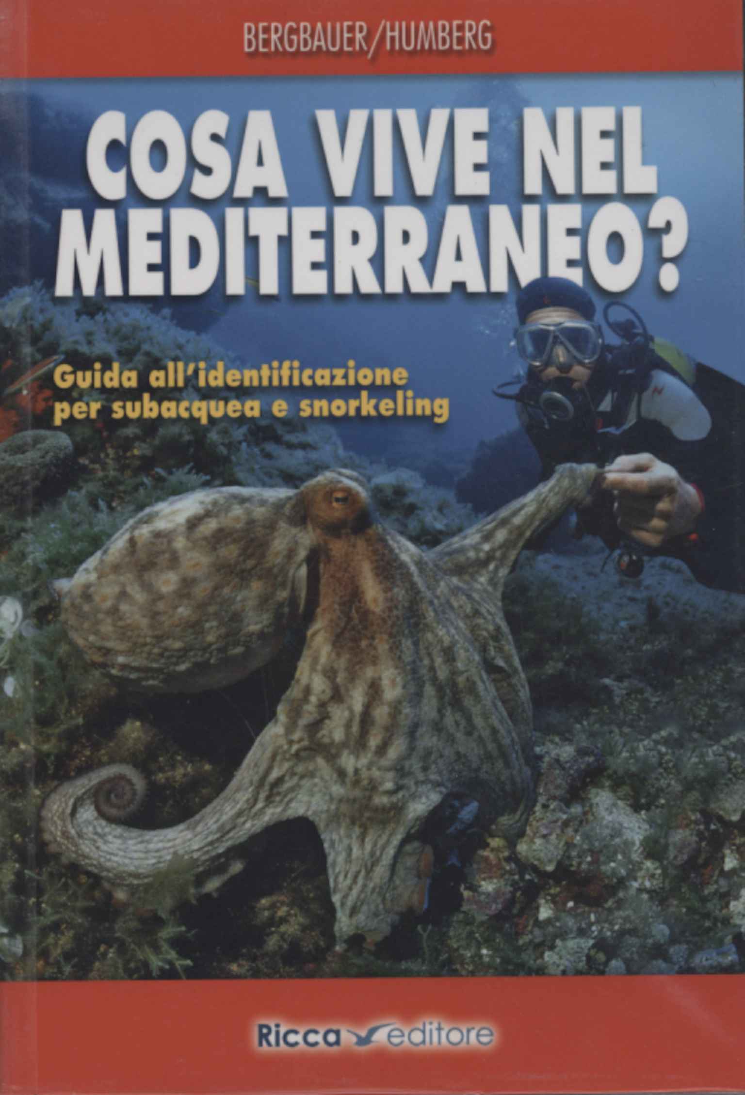 ¿Qué vive en el Mediterráneo?